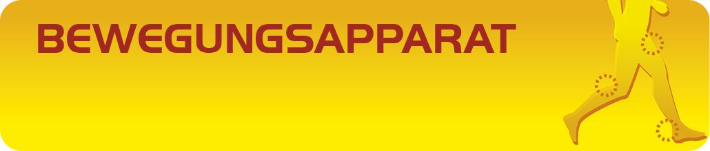 Hevert Bewegungsapparat