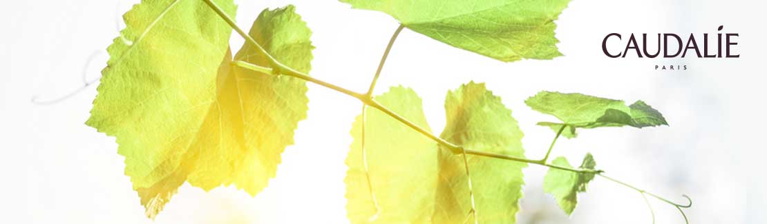 Caudalie