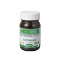 BIOCHLORELLA Pyren Sanatur Pulver