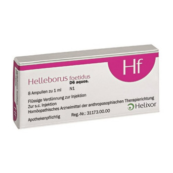 HELLEBORUS FOETIDUS aquos. D 6 Ampullen