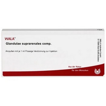 GLANDULAE SUPRARENALES comp.Ampullen