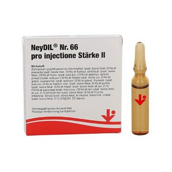 NEYDIL Nr.66 pro injectione St. II Ampullen