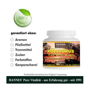 POLYPORUS UMBELLATUS Vegi-Kaps