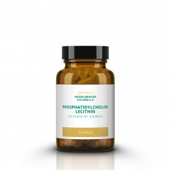 PHOSPHATIDYLCHOLIN/Lecithin Phospholipide Kapseln